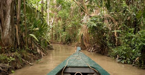 Tours Of The Amazon Rainforest Best Destinations Exoticca Blog