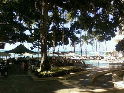 The Best Beach Bars In Honolulu Hawaii Honolulu Beach Bars In