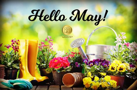 Hello May Uamp Hellomay Newmonth May Flowers Small Front Yard