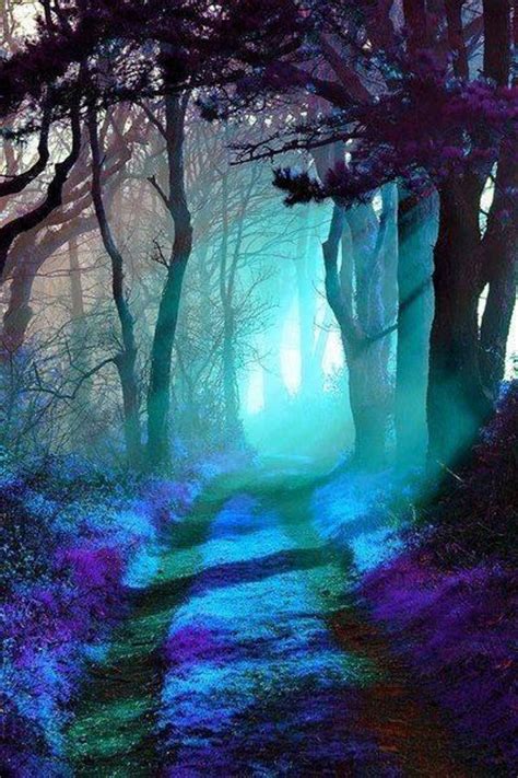 Magical Forest Purple Path Enchantment Fairy Elves Magic Mystical