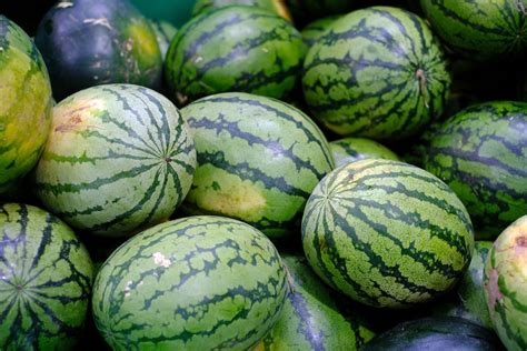 Aug 01, 2019 · watermelon is the quintessential fruit of summer, and biting into a juicy wedge is one of the season's greatest pleasures. This Is How to Tell If Watermelon Is Ripe | Taste of Home