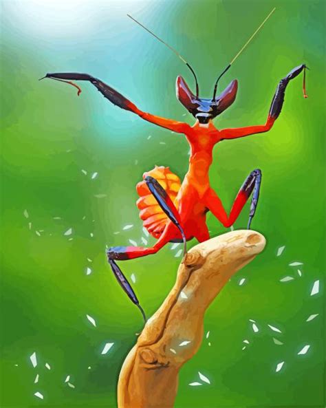 Kung Fu Mantis Insect Paint By Number Paint By Numbers For Sale