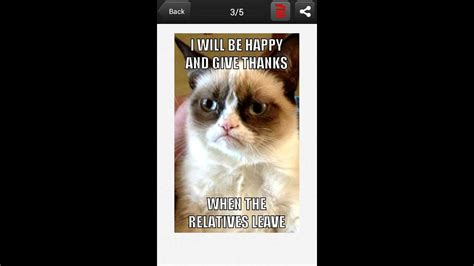 Grumpy Cat Bingo Meme Ayla Thorpe