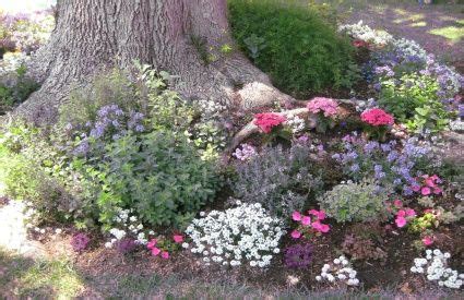 Cut back branches on the pine tree up to 15 feet. planting under trees.....good tips to make a pretty ...