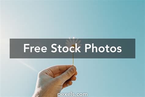 1000 Great Hands Holding Photos · Pexels · Free Stock Photos