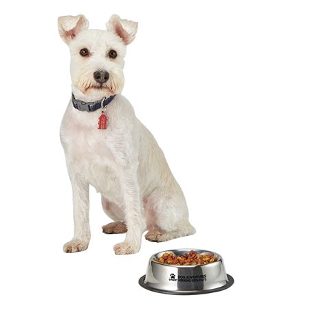 Medium Stainless Steel Pet Bowl Show Your Logo