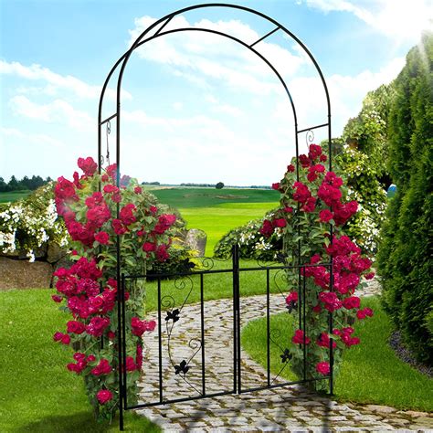 Piante da appartamento con fiori. arco per rose rampicanti
