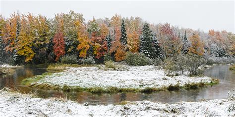 First Snow Michigan Nature Photos By Greg Kretovic