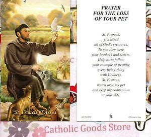 If so, then share it in the comment section down below. St. Francis of Assisi - Prayer for the Loss of your Pet ...