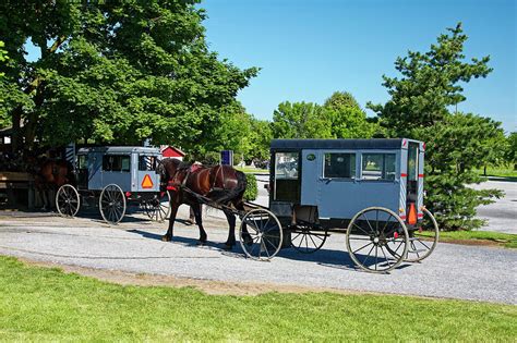 Amish Buggies Photograph By Sally Weigand Fine Art America