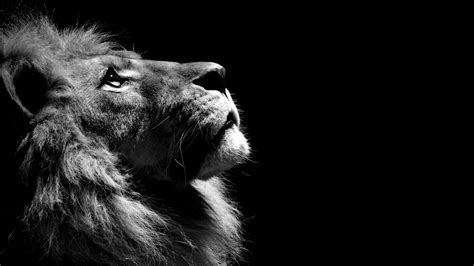 Amazing Black And White Wallpapers 26 High Resolution