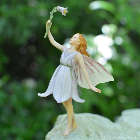 Harebell Fairy Fairy Gardening Australia Bambole