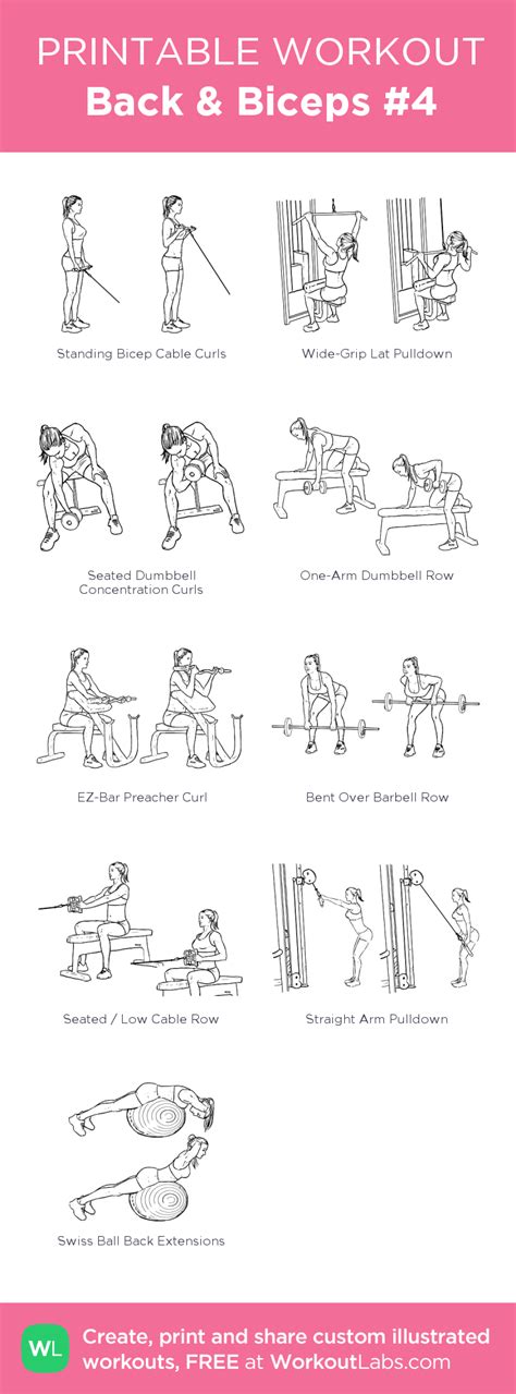 Back And Biceps 4 Back And Bicep Workout Bicep And Tricep Workout