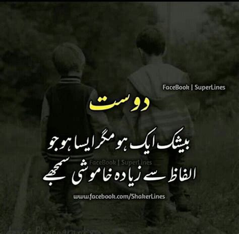 Sher is a form of shayari which is expressed in just two lines. My Best Friend Poetry In Urdu
