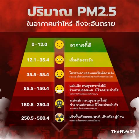 ฝุ่นละออง pm 2 5 คืออะไร ย่อมาจากคำว่าอะไร และ ผลกระทบ อันตรายจากฝุ่น pm 2 5 thaiware