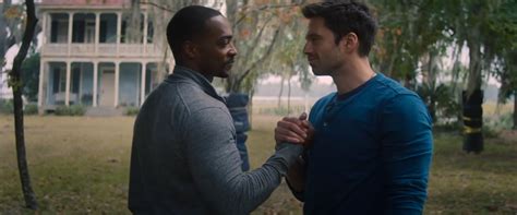 Endgame, sam wilson/falcon (anthony mackie) and bucky barnes/winter soldier (sebastian stan) team up in a global adventure that tests their abilities—and their patience—in marvel studios' the falcon and the winter soldier. New to Disney Plus: Raya and the Last Dragon, Falcon and ...
