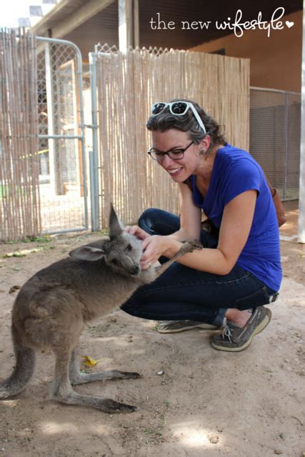 We are a mobile petting zoo which travels to our clients. Roos N More Zoo - Exotic Animal Interactions Near Vegas