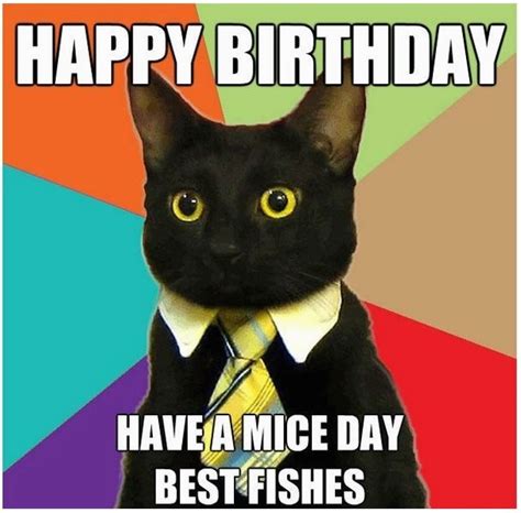 Black Cat Birthday Meme Birthdaybuzz