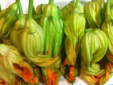 Una de estas recetas es la famosa flor de calabacín, la cual tiene un bonito aspecto y, además, está deliciosa. Las recetas de Martuka: Flores De Calabacín Rellenas De ...