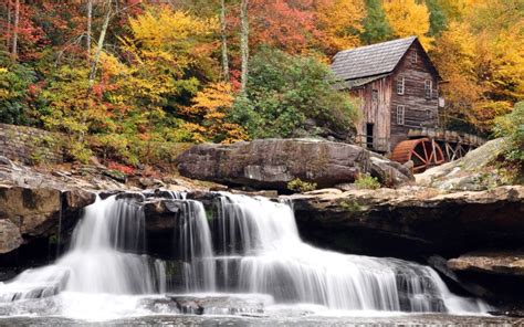 Autumn Mill Organic Plants Widescreen Nature Images