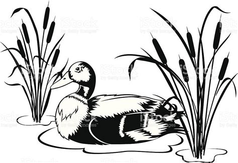 Black And White Vector Illustration Of A Mallard Duck Swimming In A