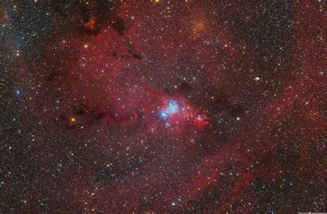 The Christmas Tree Nebula The Astronomy Enthusiast
