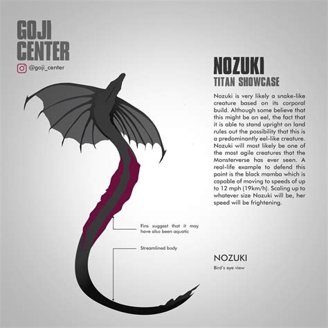 Due to the recent release of the warbat figure from playmates godzilla vs kong toy line, we finally know more about warbat, or nozuki! A little late for the party.. but GojiCenter just had to ...