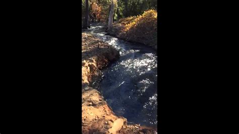 This is a beautiful cabin with all of the comforts of home. Lake Francis in Dobbins, ca - YouTube