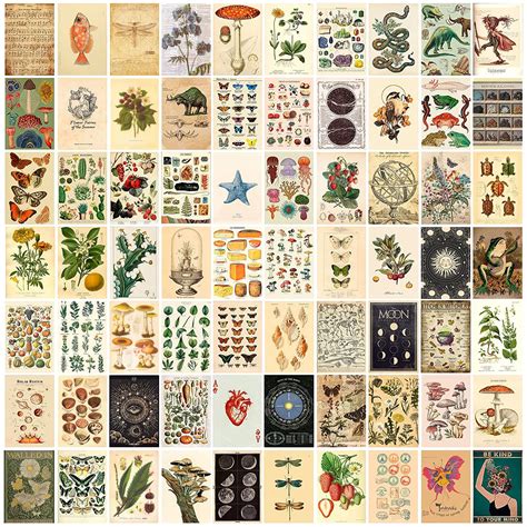 Buy 70pcs Vintage Aesthetic Wall Collage Kit Pictures 4x6 Inch