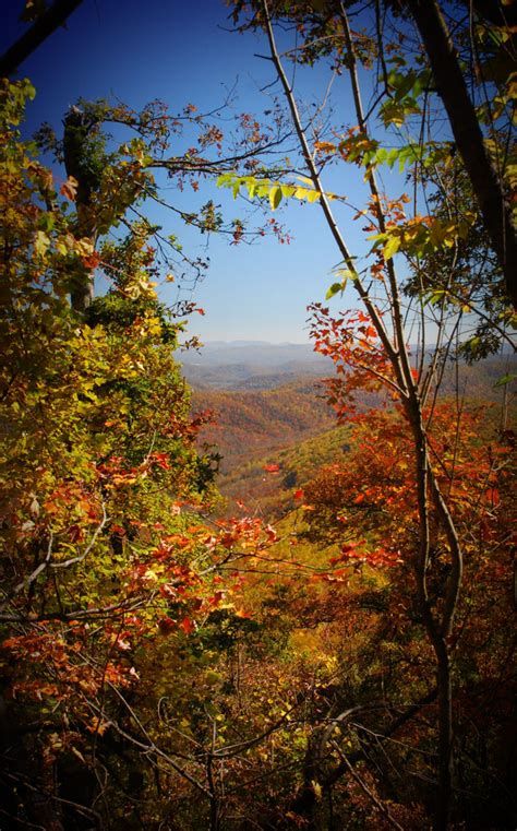 Oj Photography Blue Ridge Parkway Fall Colors Mt Pisgah Nc