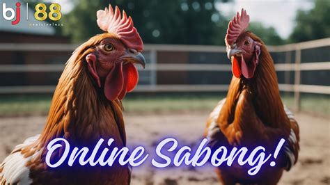Clash of the Titans at BJ88: Witness the Biggest Online Sabong