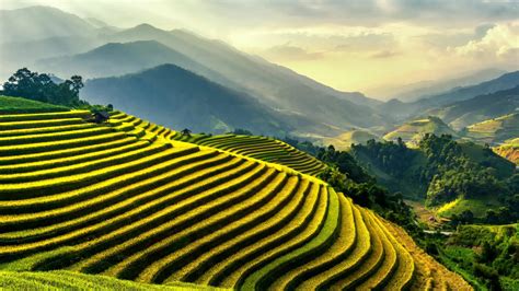 The Stunning Rice Terraces Of Asia 22 Incredible Landscapes Light Stalking