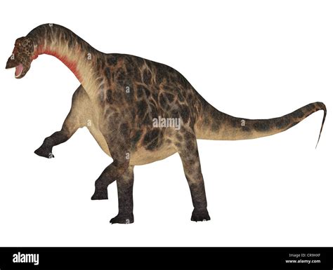 Illustration Of An Dicraeosaurus Dinosaur Species Isolated On A White