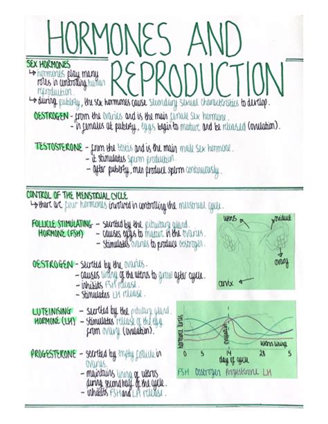 Hormones Homeostasis And Response Revision Poster Aqa Gcse Biology