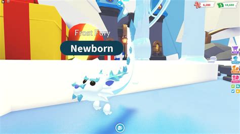 When other players try to make money during the game, these codes make it easy for you and you can reach what you need earlier with leaving others your behind. Win A Frost Fury From 'Adopt Me' In Our Free Competition ...