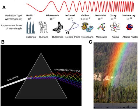 How Do We See Color · Frontiers For Young Minds