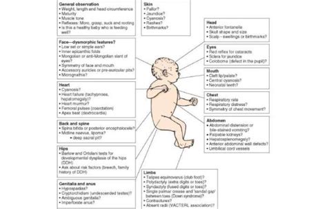Identifying Common Neonatal Conditions