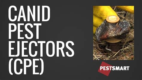 Canid Pest Ejector Cpe For Fox And Wild Dog Control Youtube