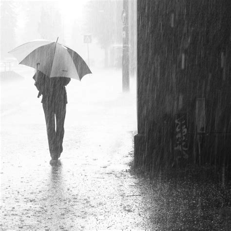 為什麼下雨天路上有很多蚯蚓呢？ msc, trad.为什么下雨天路上有很多蚯蚓呢？ msc, simp. wèishénme xiàyǔtiān lùshàng yǒu hěnduō qiūyǐn ne? 下雨天的心情经典句子简短