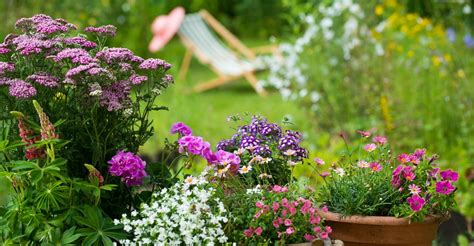 Check spelling or type a new query. Top 5 Flowering Spring Perennials | My Garden Life
