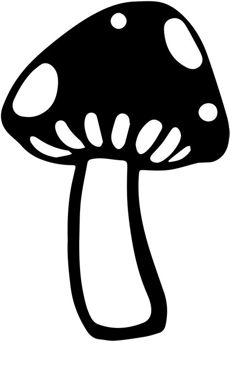 Mushroom Drawing Free Stock Photo - Public Domain Pictures