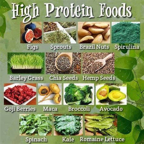 High Protein Foods | Protein Sources | Pinterest