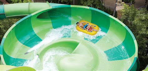 Adventure cove waterpark, true to its name, holds all kinds of aquatic wonders for people of all ages. Adventure Cove Waterpark™ Rides and Attractions - Resorts ...