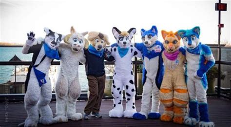 Furry Year In Review Wiki Furry Amino