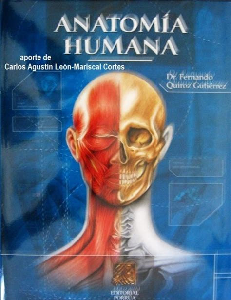 Nomenclatura de las formas verbales. Libros en PDF de Kinesiología y Fisioterapia: Tratado de ...