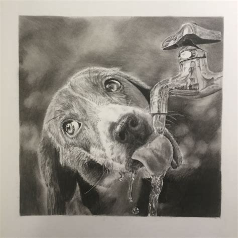 Charcoal Of A Dog At A Water Tap James Colter Drawings Art
