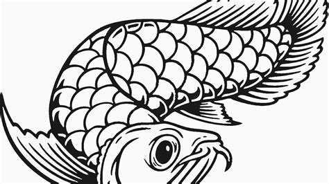 Gambar Ikan Hitam Putih - 57+ Koleksi Gambar
