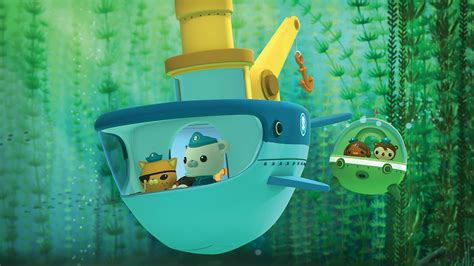 Octonauts Series 1 24 The Kelp Forest Rescue Bbc Iplayer