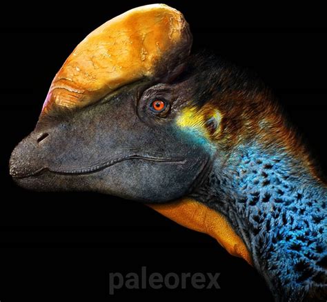 Paleorex Shared A Photo On Instagram The New Dilophosaurus A Lifelike