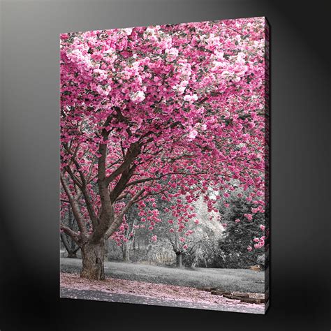 Pink Blossom Premium Modern Canvas Picture Wall Art Modern Design Free Uk P P Blossoms Art